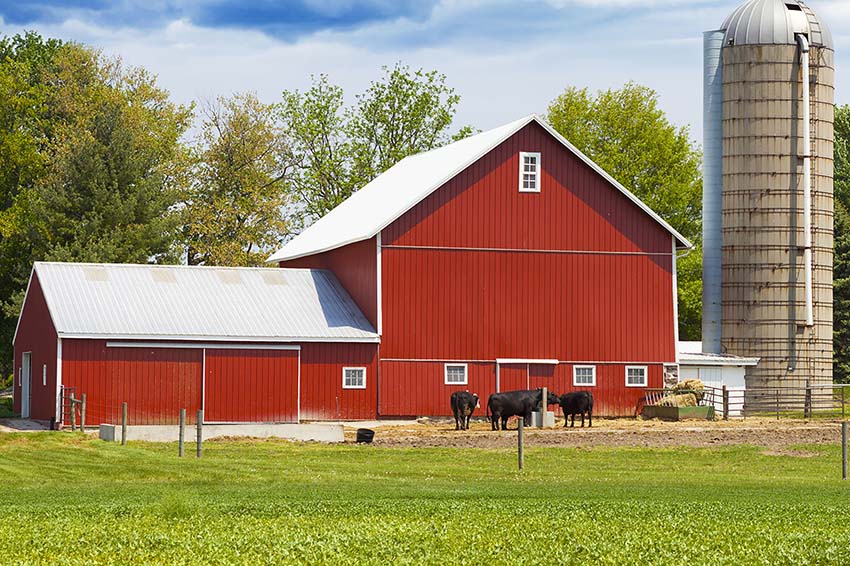 Metal roofing and siding for farms and agriculture